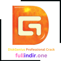 DiskGenius Professional Crack