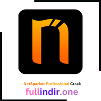 NetSparker Professional Crack